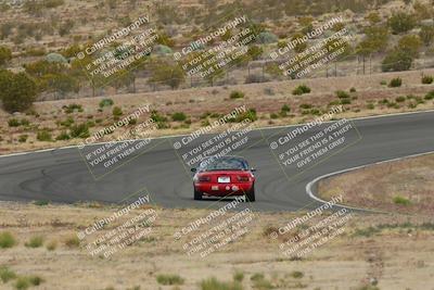 media/May-03-2025-Lucky Dog Racing (Sat) [[206de64b9d]]/Turn 2 (1020am-1120am)/